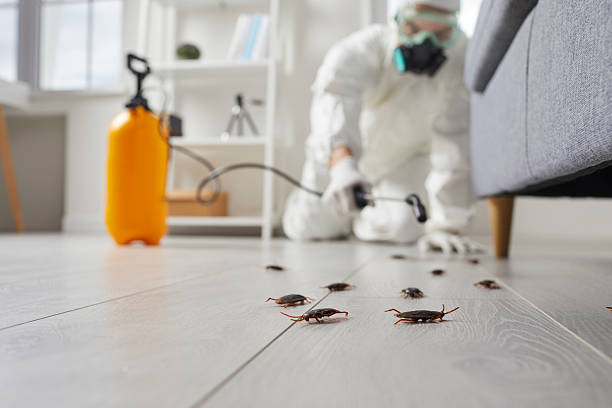 Commercial Kitchen Cockroach Control in Knightsen